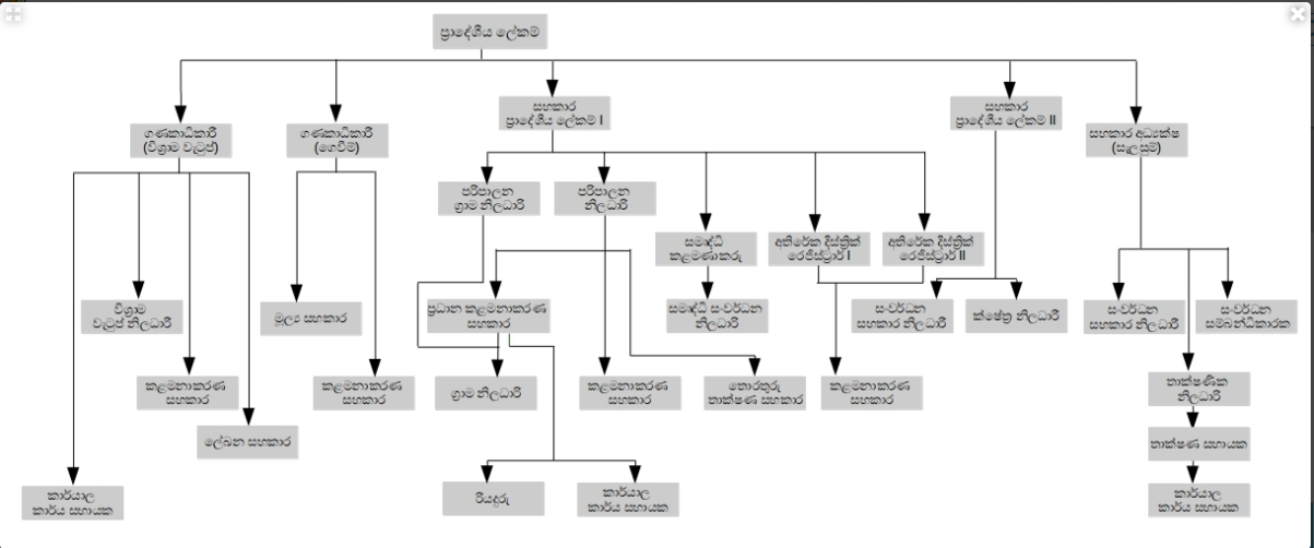 org sinhala