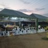 අලුත් සහල් මංගල්‍යය 2023 